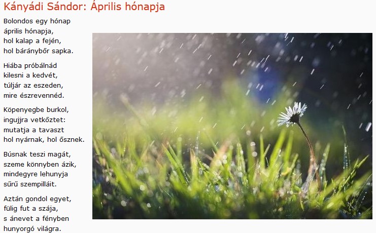 https://margit2.hu/forumba-kepek2/704-kanyadi-sandor-aprilis-honapja.jpg