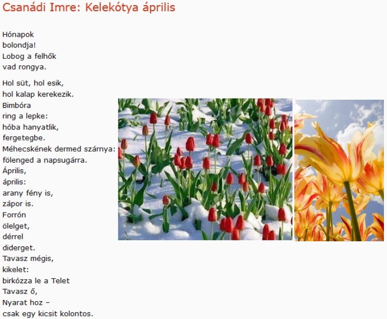 https://margit2.hu/forumba-kepek2/716-csanadi-imre-kelekotya-aprilis.jpg