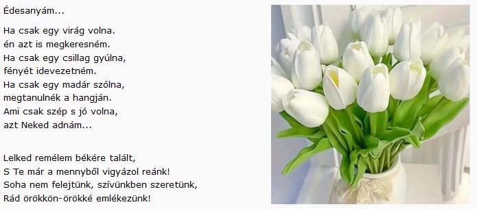 https://margit2.hu/forumba-kepek2/719-edesanyam-20240505.jpg