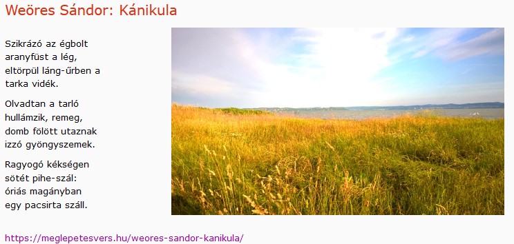 https://margit2.hu/forumba-kepek2/735-weores-sandor-kanikula.jpg