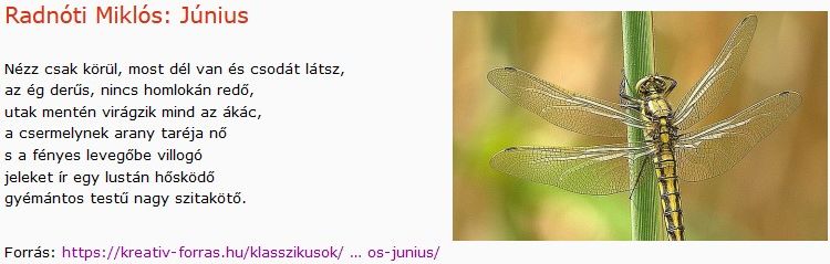 https://margit2.hu/forumba-kepek2/739-radnoti-miklos-junius.jpg