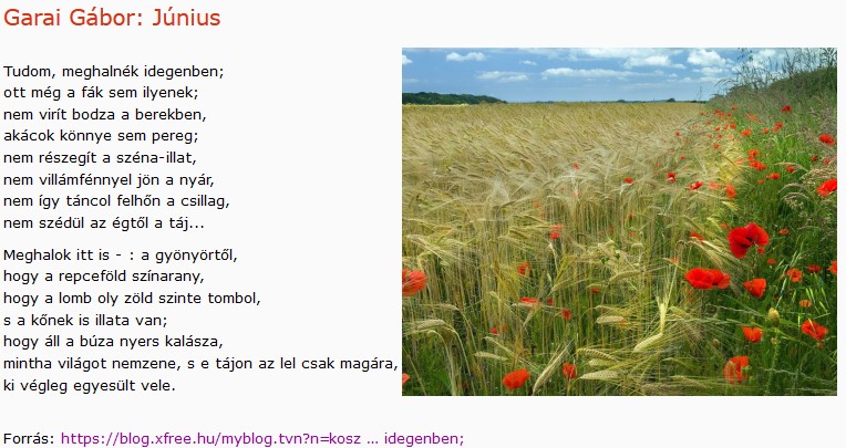 https://margit2.hu/forumba-kepek2/740-garai-gabor-junius.jpg