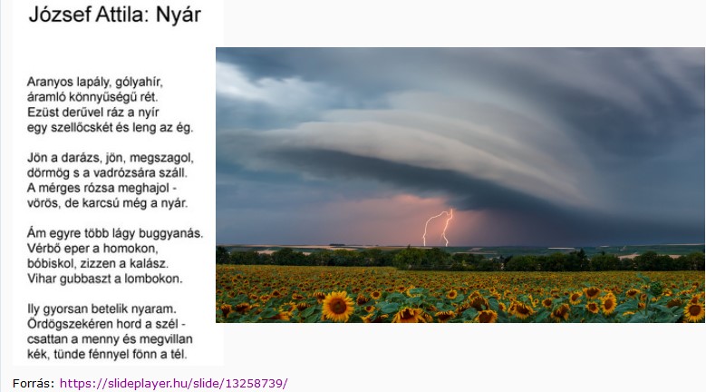 https://margit2.hu/forumba-kepek2/746-jozsef-attila-nyar.jpg