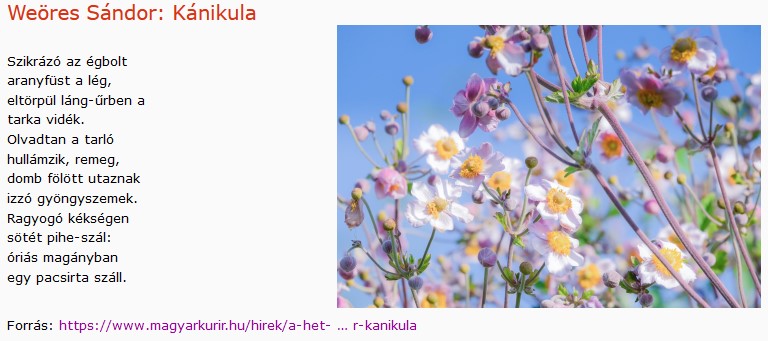 https://margit2.hu/forumba-kepek2/748-weores-sandor-kanikula.jpg