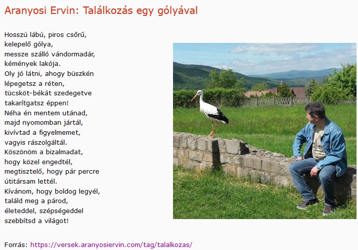 https://margit2.hu/forumba-kepek2/749-aranyosi-ervin-talalkozas-egy-golyaval.jpg