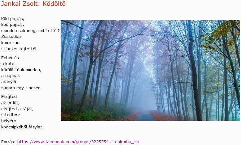 https://margit2.hu/forumba-kepek2/834-jankai-zsolt-kodolto.jpg