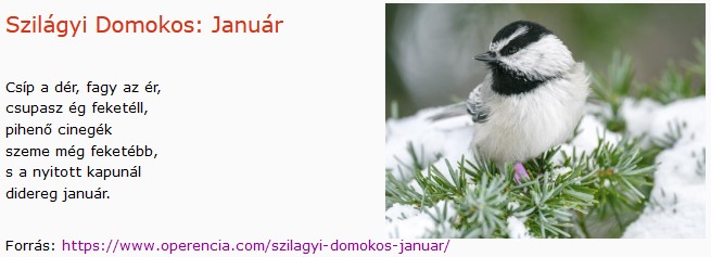 https://margit2.hu/forumba-kepek2/837-szilagyi-domokos-januar.jpg
