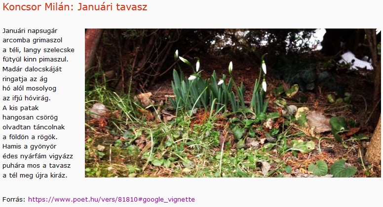 https://margit2.hu/forumba-kepek2/839-koncsor-milan-januari-tavasz.jpg