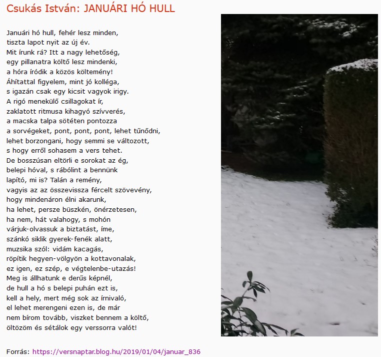 https://margit2.hu/forumba-kepek2/844-csukas-istvan-januari-ho-hull.jpg