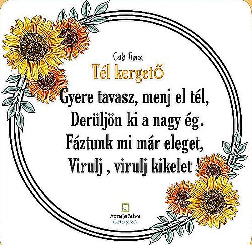https://margit2.hu/forumba-kepek2/847-csiki-timea-tel-kergeto.jpg