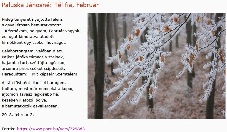 https://margit2.hu/forumba-kepek2/855-paluska-janosne-tel-fia-februar.jpg
