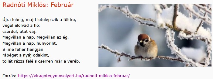 https://margit2.hu/forumba-kepek2/858-radnoti-miklos-februar.jpg