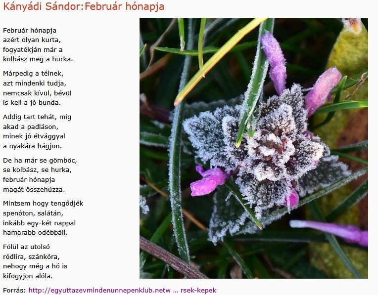 https://margit2.hu/forumba-kepek2/860-kanyadi-sandor-februar-honapja.jpg