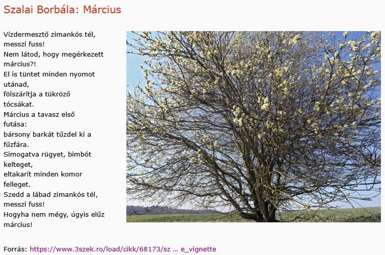 https://margit2.hu/forumba-kepek2/872-szalai-borbala-marcius.jpg