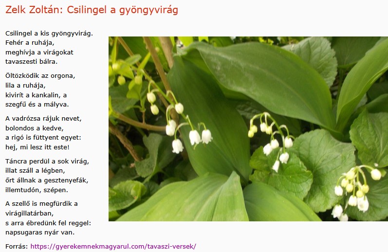 https://margit2.hu/forumba-kepek2/886-zelk-zoltan-csilingel-a-gyongyvirag.jpg