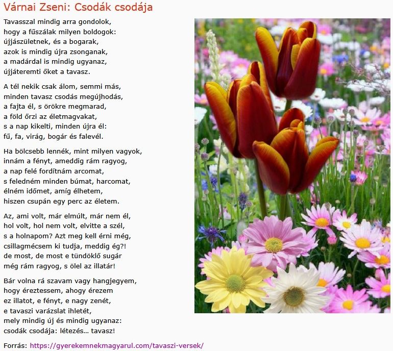 https://margit2.hu/forumba-kepek2/888-varnai-zseni-csodak-csodaja.jpg