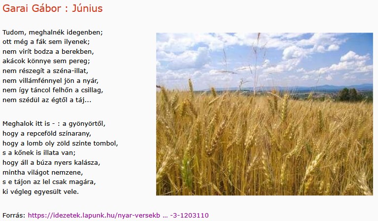 https://margit2.hu/forumba-kepek2/916-garai-gabor-junius.jpg