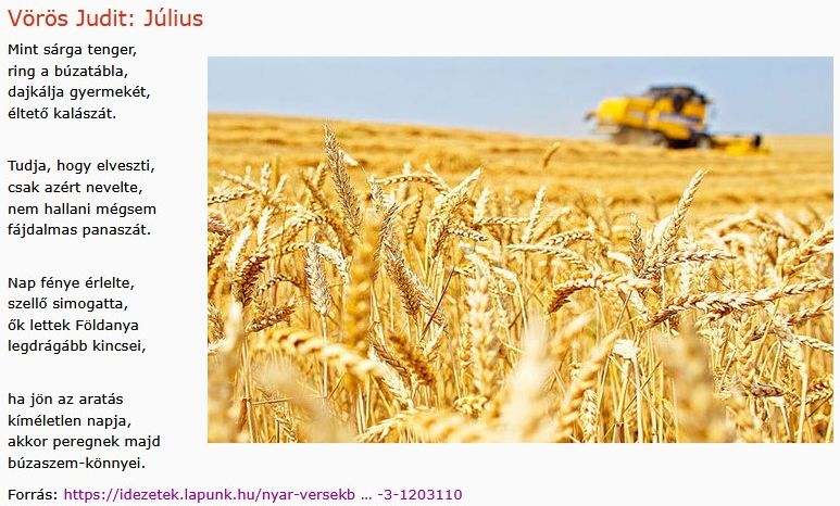 https://margit2.hu/forumba-kepek2/934-voros-judit-julius.jpg