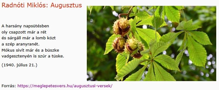 https://margit2.hu/forumba-kepek2/944-radnoti-miklos-augusztus.jpg