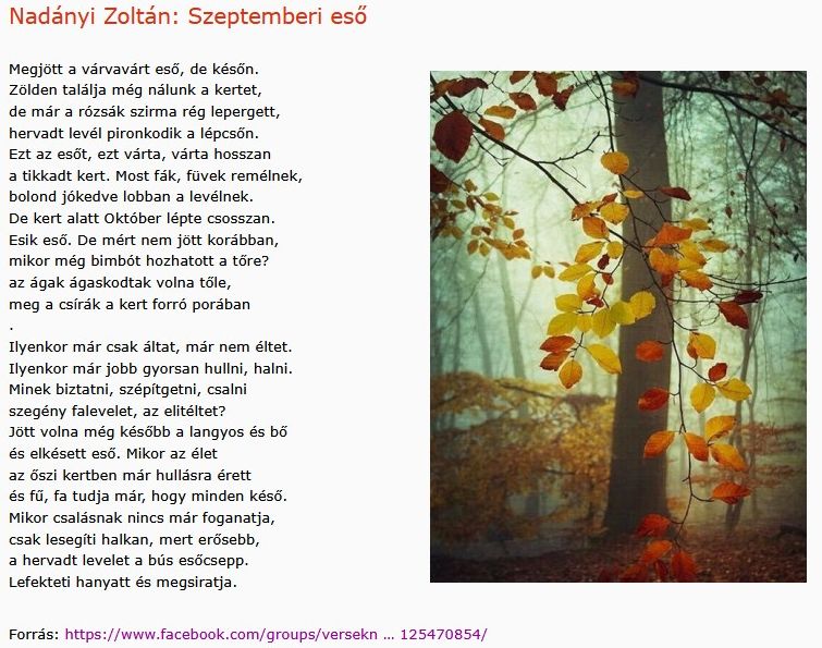 https://margit2.hu/forumba-kepek2/953-nadanyi-zoltan-szeptemberi-eso.jpg