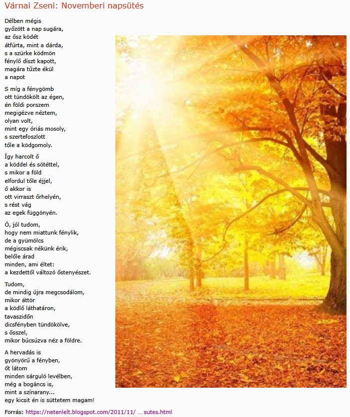 https://margit2.hu/forumba-kepek2/974-varnai-zseni-novemberi-napsutes.jpg