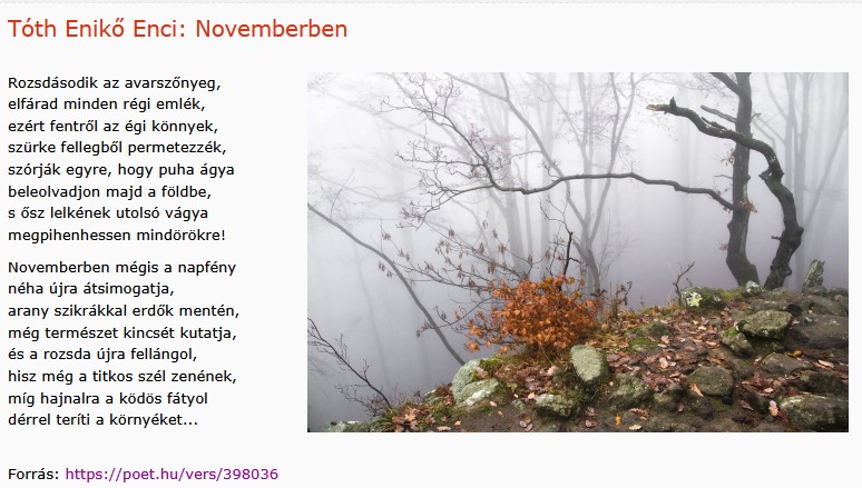 https://margit2.hu/forumba-kepek2/978-toth-eniko-enci-novemberben.jpg