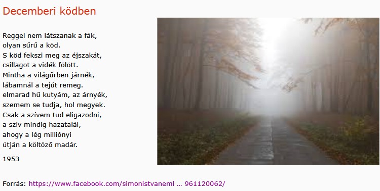 https://margit2.hu/forumba-kepek2/988-decemberi-kodben.jpg