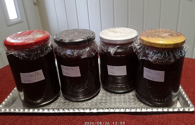 https://margit2.hu/forumba-kepek3/szilvalekvar-2-20260825.jpg