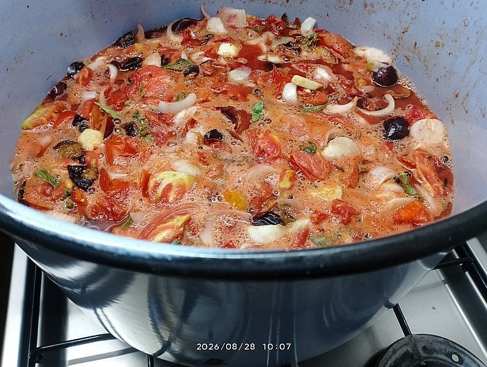https://margit2.hu/forumba-kepek3/szkecsap-fo-20260828.jpg