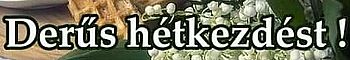 https://margit2.hu/forumba-koszones/derus-hetkezdest4.jpg