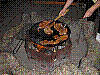 040.jpg